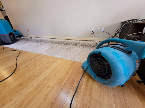 Professional Burst Pipe Water Damage technician working in Montrose, CO